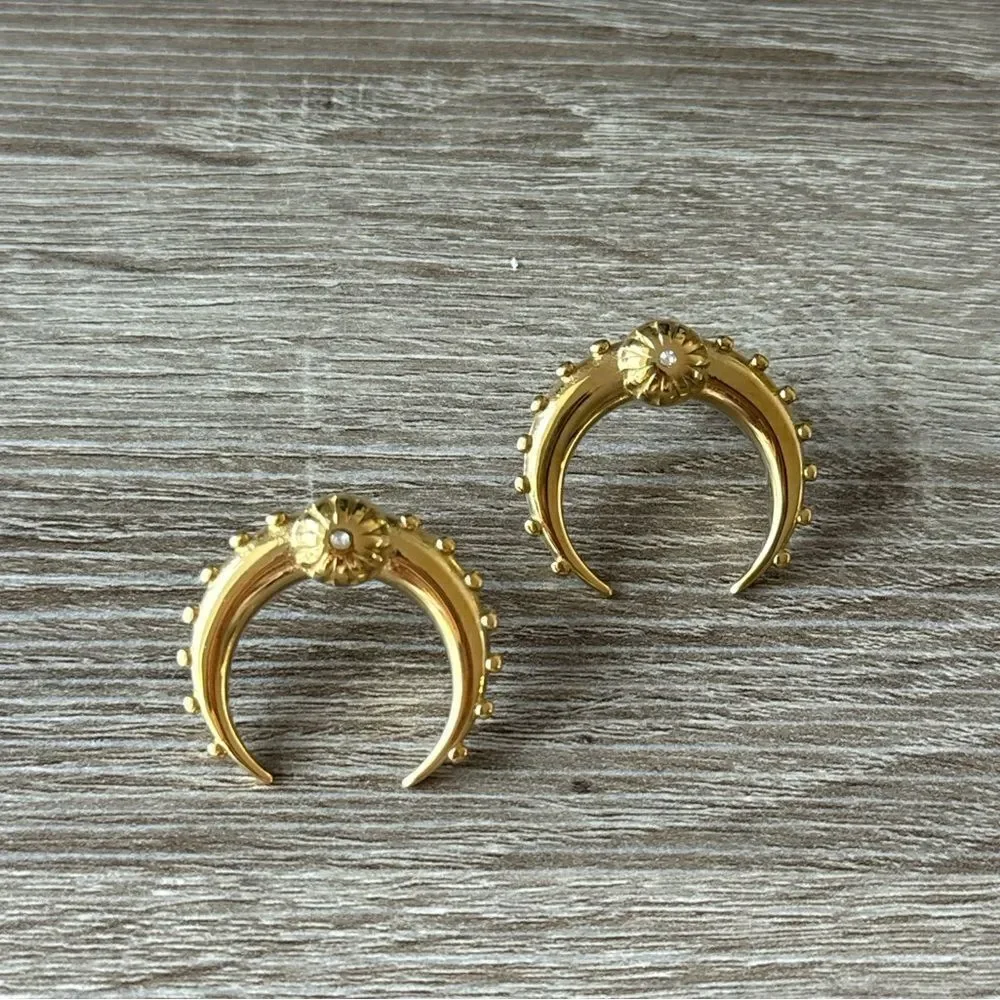 Statement earrings N737